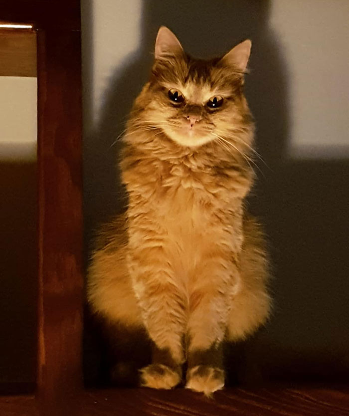 Malala Looks Cute And Kinda Creepy