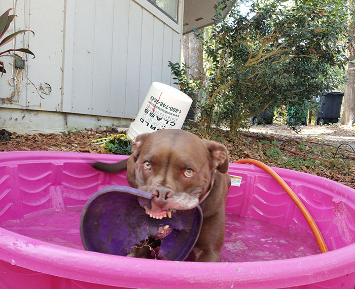My Name Is Wilma, And I Like Frisbees