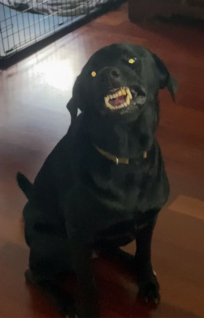 Apparently Eating Peanut Butter Is The Last Step In Summoning The Devil. Who Knew