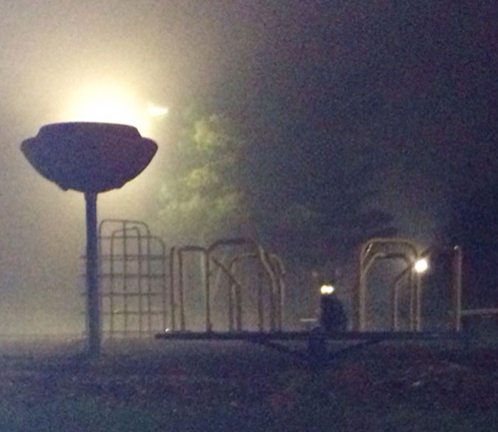 This Cat Was At The Playground All Alone