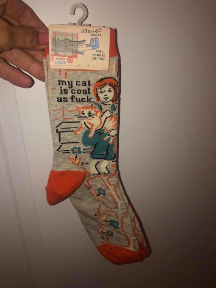 Went To Our Local Thrift Store Today. I Couldn’t Pass These Up! Only Problem Is....i Don’t Have A Cat!