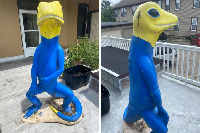 Meet My Porch Lizard, Lizonardo Davinci! I Saw Him At My Landlord’s House And Fell In Love