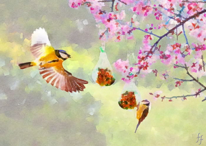 Tits Around Fat Balls