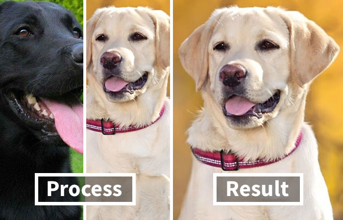 People Are Saying That Twitter’s Photo Preview Algorithm Is Racist, Twitter Agrees And Tries To Fix It