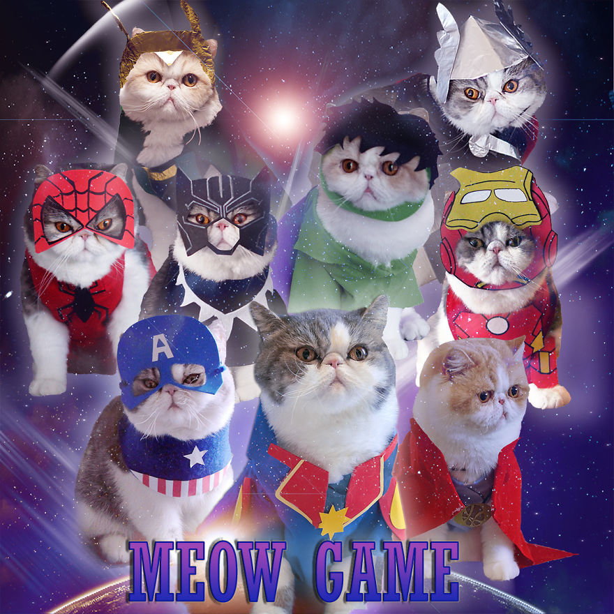 Cat Brothers Cosplay As Superheroes And Makes Movie Shorts