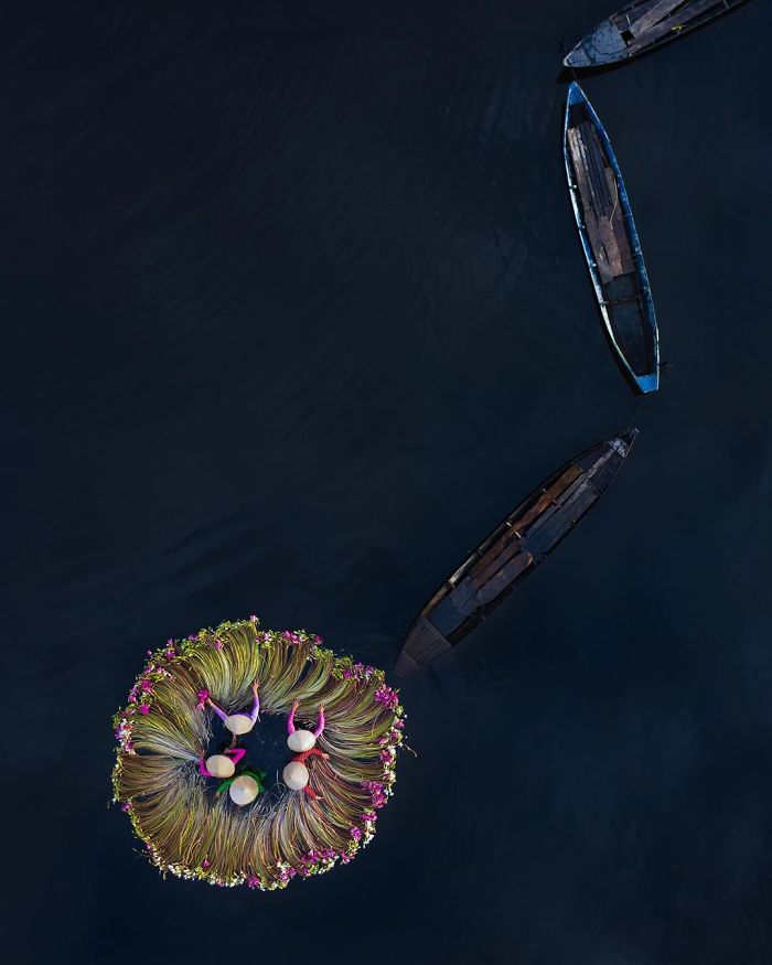 Vietnam-Mekong-Delta-Lilies-Harvest-Trung-Huy-Pham