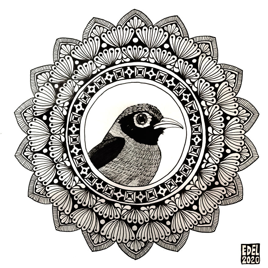 I Used Mandala Art To Help Promote Philippine Endemic Birds