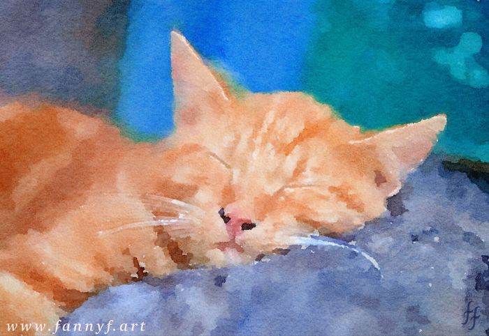 Contented Pussy Full Of Cream