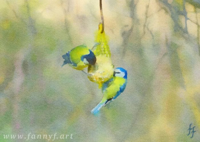 Tits Hanging Out In The Garden