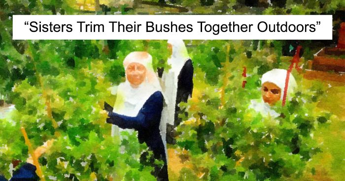 These Watercolor Paintings By Fanny Fielding Might Look Innocent Until You Read Their Titles (30 Pics)