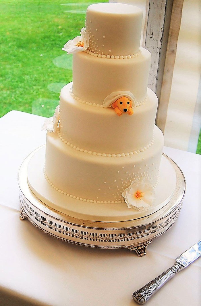 This Cake For A Wedding At Win Cathedral Has A Little Golden Retriever Puppy Peeking Out From One Of The Tiers!