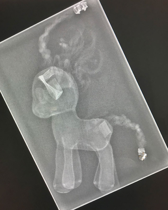 So My Patient Wouldn’t Let Me X-Ray Her Unless I Promised To X-Ray Her Pony After