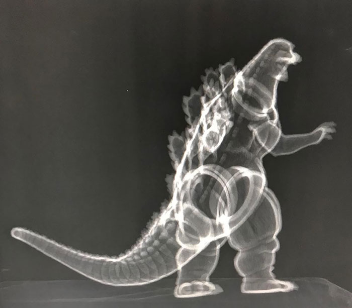 Godzilla, King Of The Monsters