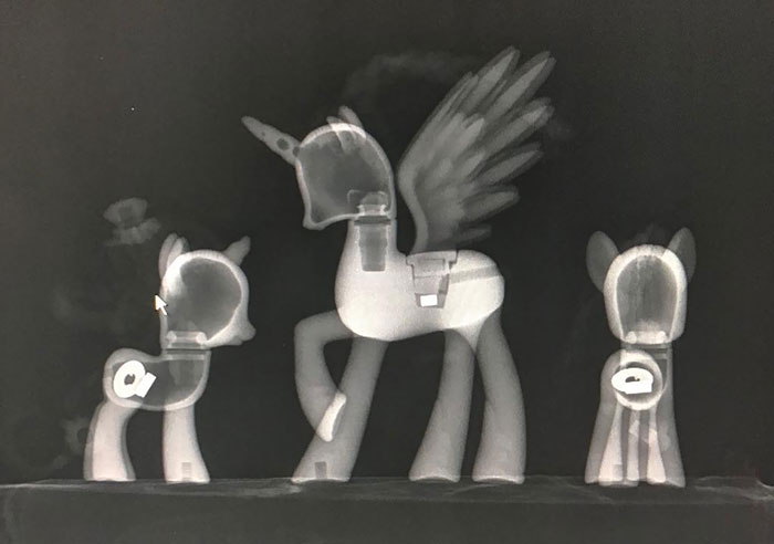 My Little Pony Collection. They’re My Daughter’s Newer Ones. We Blew Up My Sister’s Original Ones Back In The Day