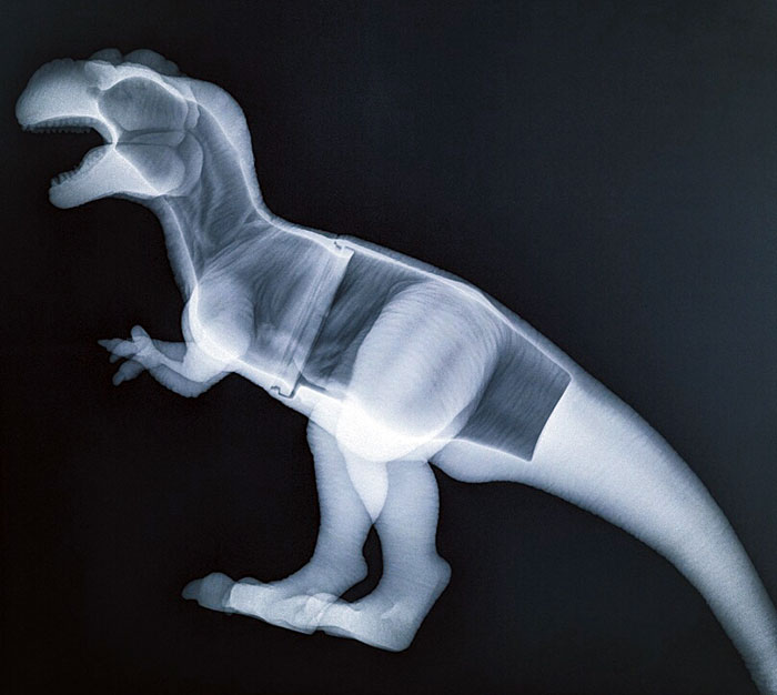 My Wife Took Our Cat To The Vet And My Son Told The Vet His Toy Dinosaur Was Feeling Poorly So The Vet Gave It An X-Ray