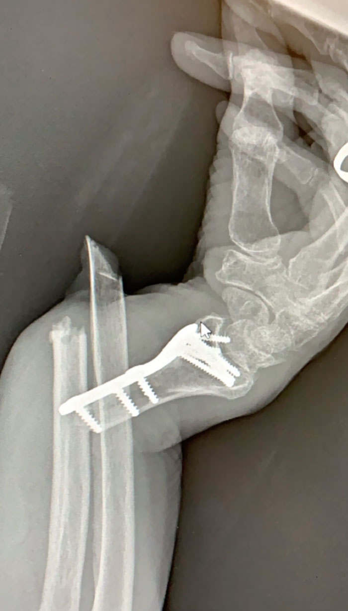 This Person Broke This On Sunday And Came In On Thursday