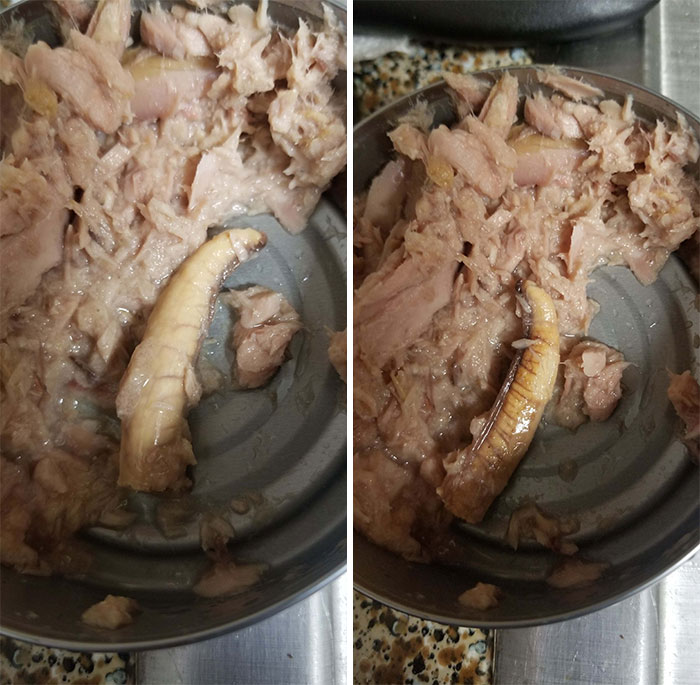 Found This In My Tuna. What Is This Thing?