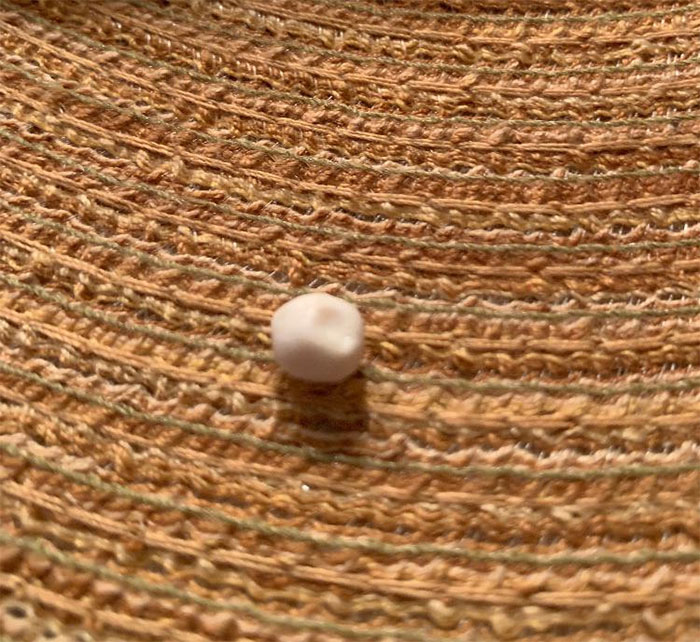 Small Hard ‘Pellet’ Found Inside A Cooked King Crab Leg, Roughly The Size Of A Pea. What Is This Thing?