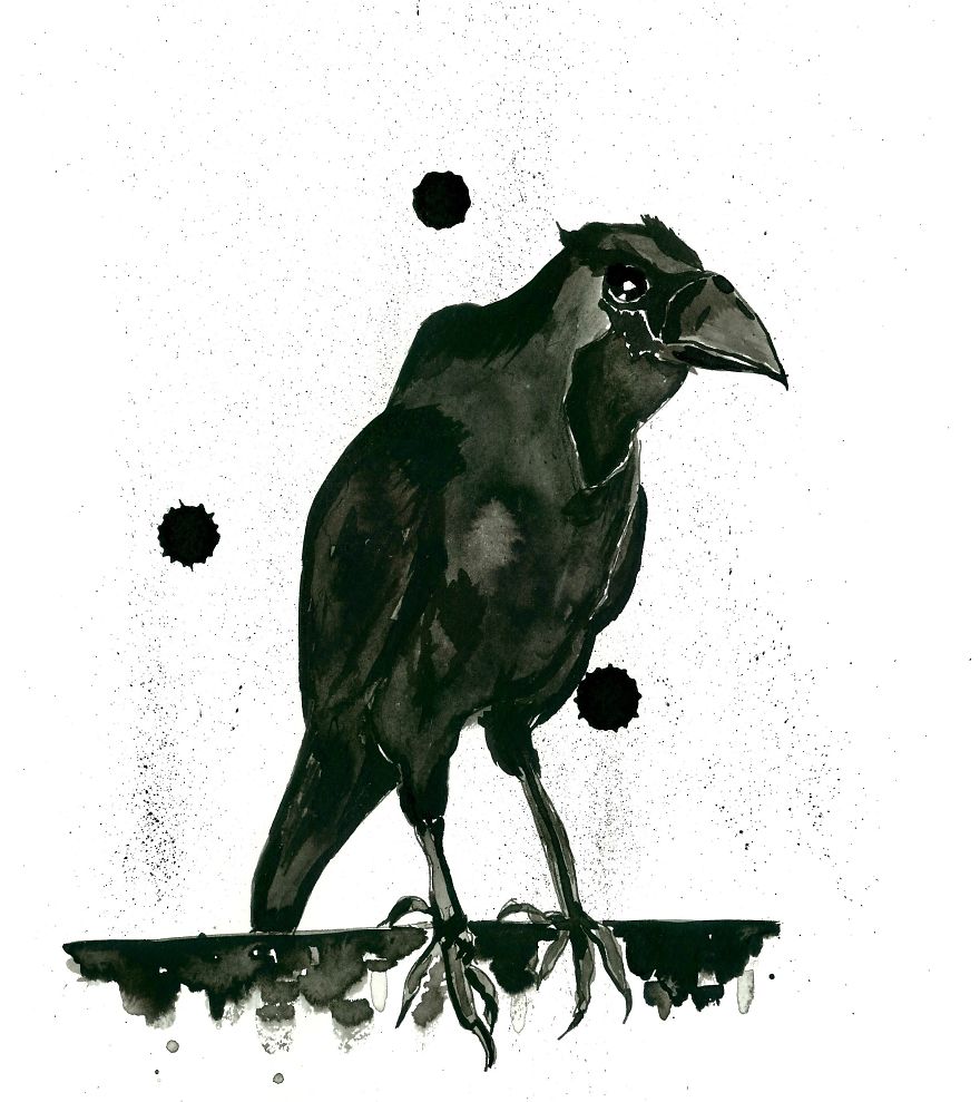 Aedyn Jak Art From His Books