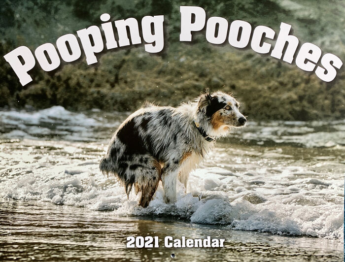 2021 Pooping Dogs Calendar Is Finally Here, And This Year Contains A Puzzle 2021 Pooping Dogs Calendar Is Finally Here, And This Year Contains A Puzzle
