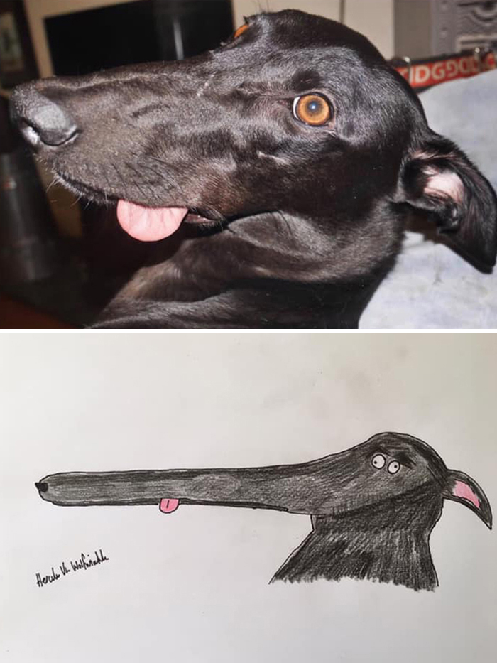 Pet Portraits Charity