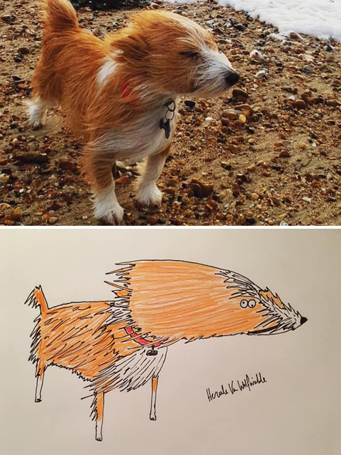 Pet Portraits Charity