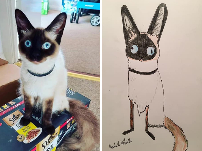 Pet Portraits Charity