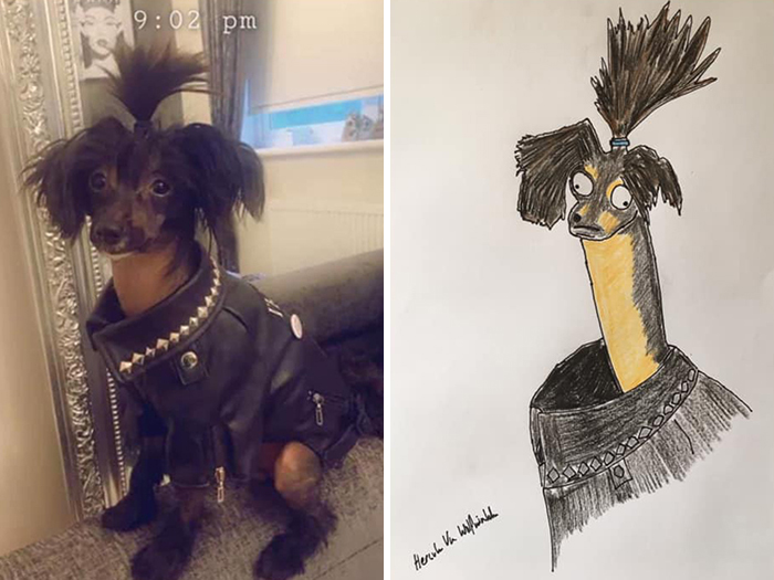 Pet Portraits Charity