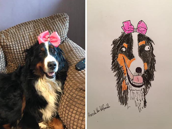 Pet Portraits Charity