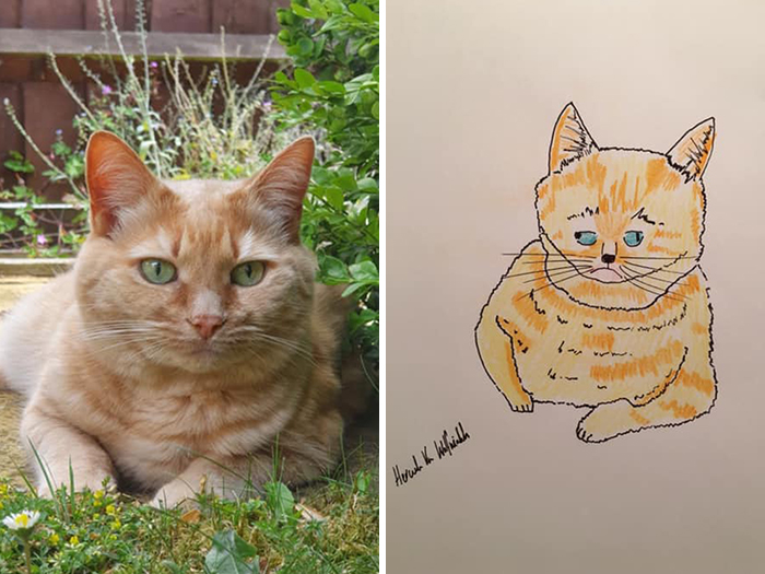 Pet Portraits Charity