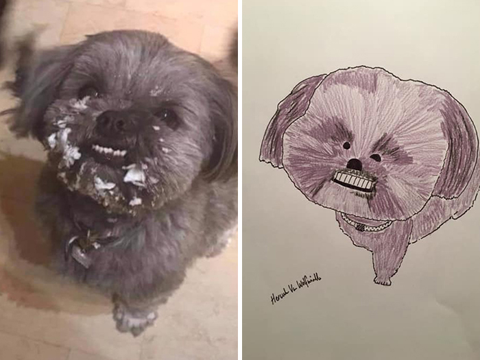 Pet Portraits Charity