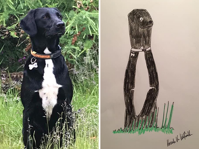 Pet Portraits Charity