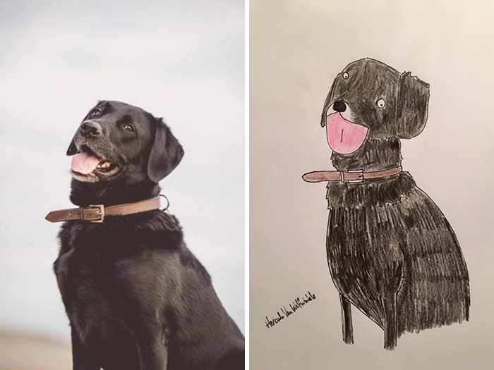 Pet Portraits Charity