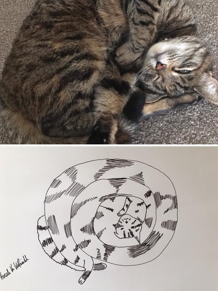 Pet Portraits Charity