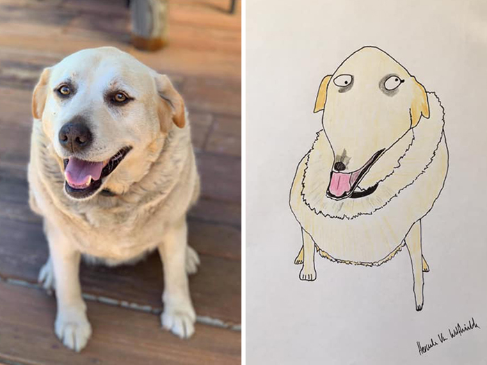 Pet Portraits Charity