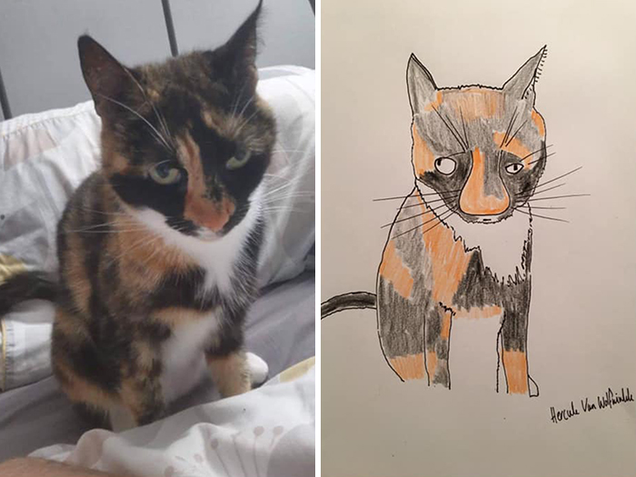 Pet Portraits Charity