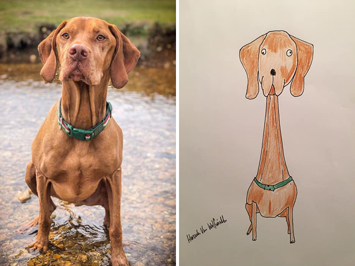 Pet Portraits Charity