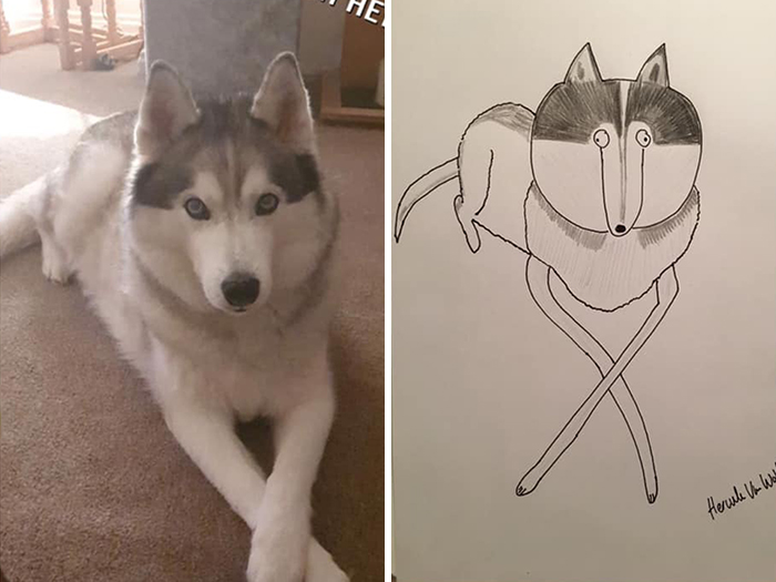 Pet Portraits Charity