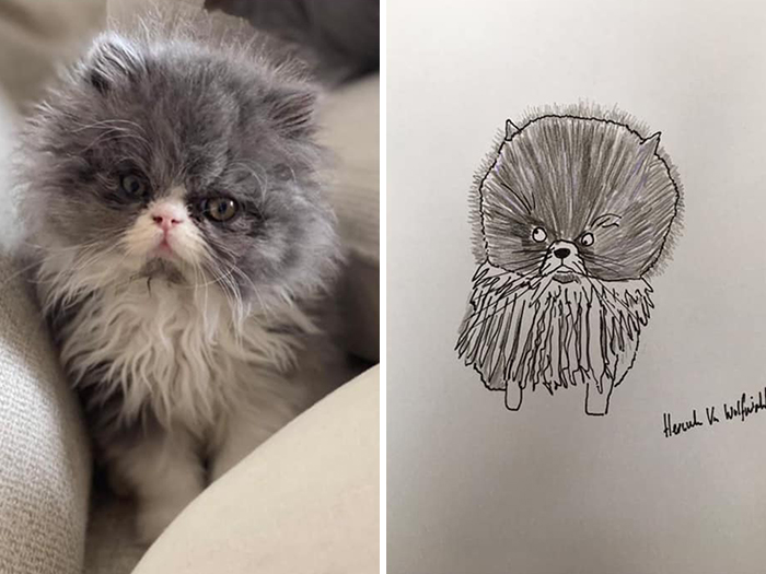 Pet Portraits Charity