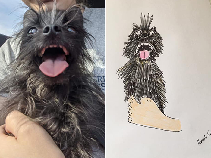 Pet Portraits Charity