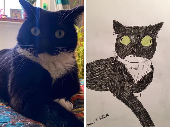 Pet Portraits Charity