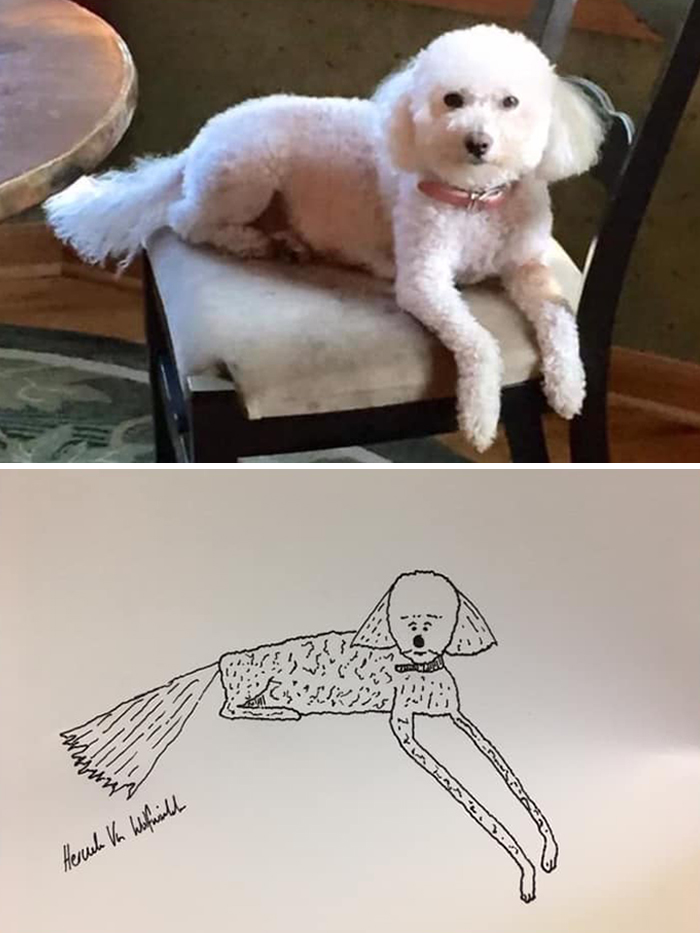 Pet Portraits Charity