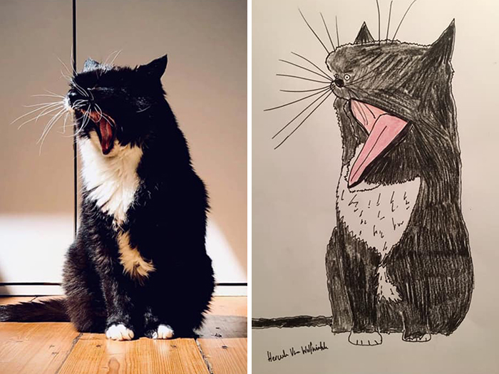 Pet Portraits Charity