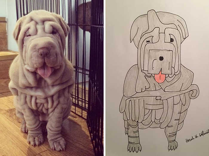 Pet Portraits Charity