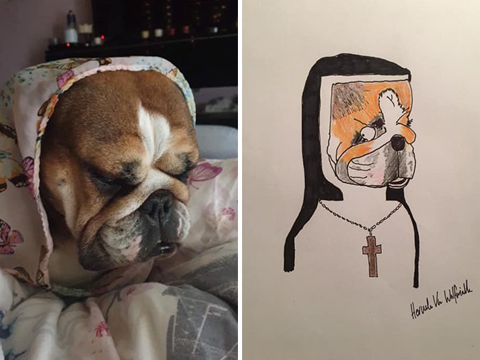 Pet Portraits Charity