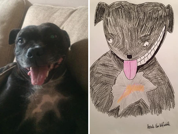 Pet Portraits Charity