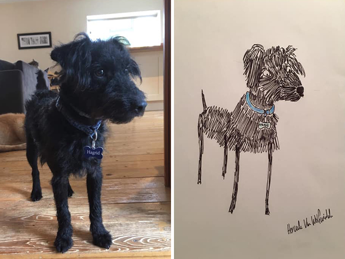 Pet Portraits Charity