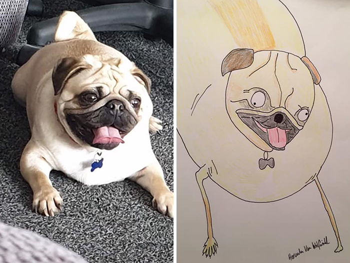 Pet Portraits Charity