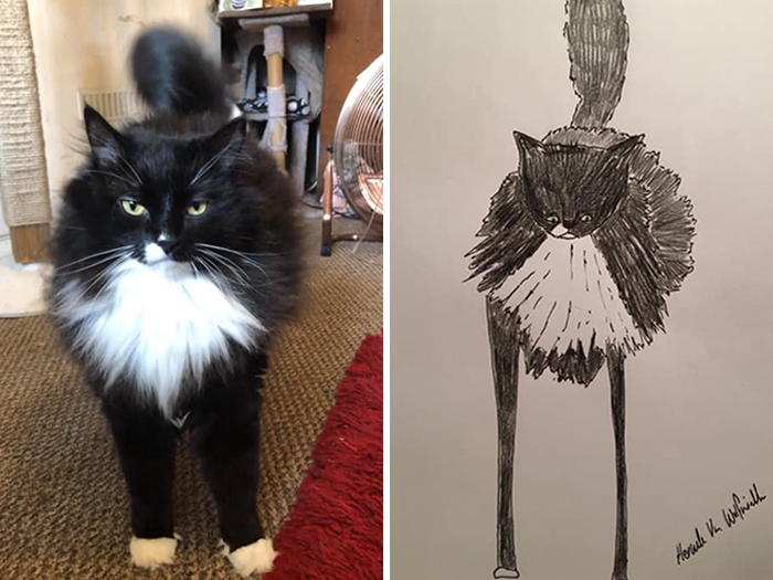 Pet Portraits Charity