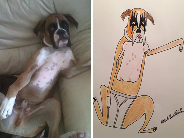 Pet Portraits Charity